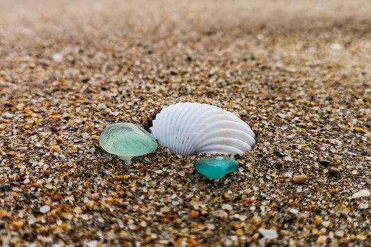 Cristales de mar, el poder de la transformación.