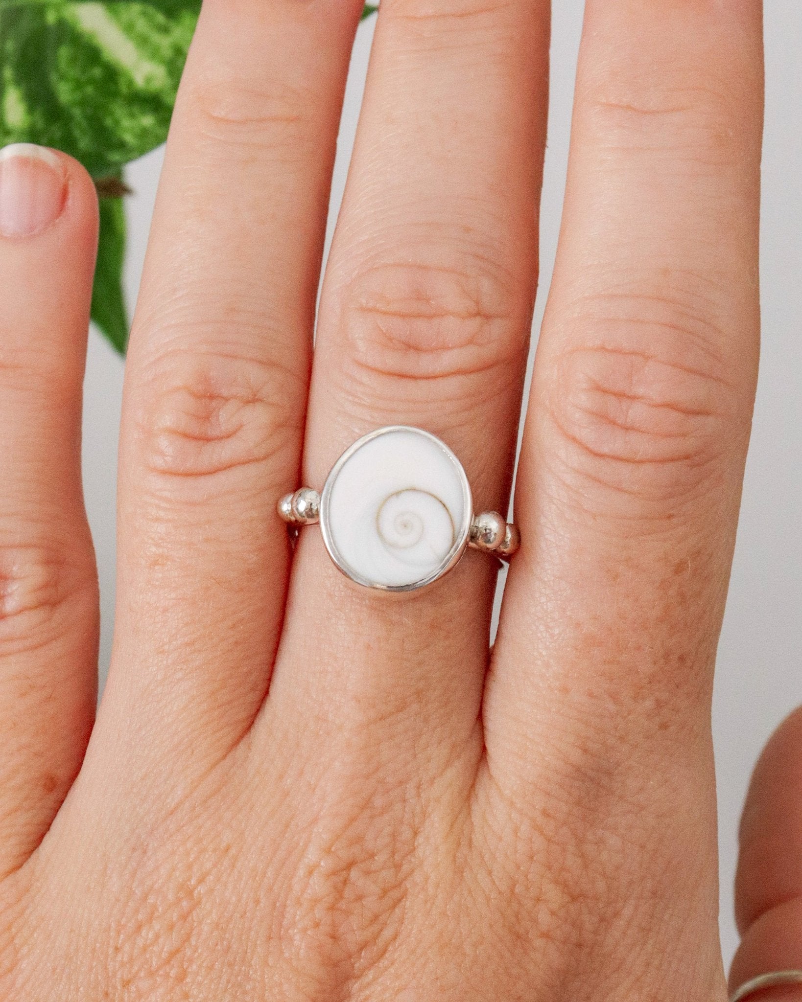 Anillo Aqua con opérculos naturales.