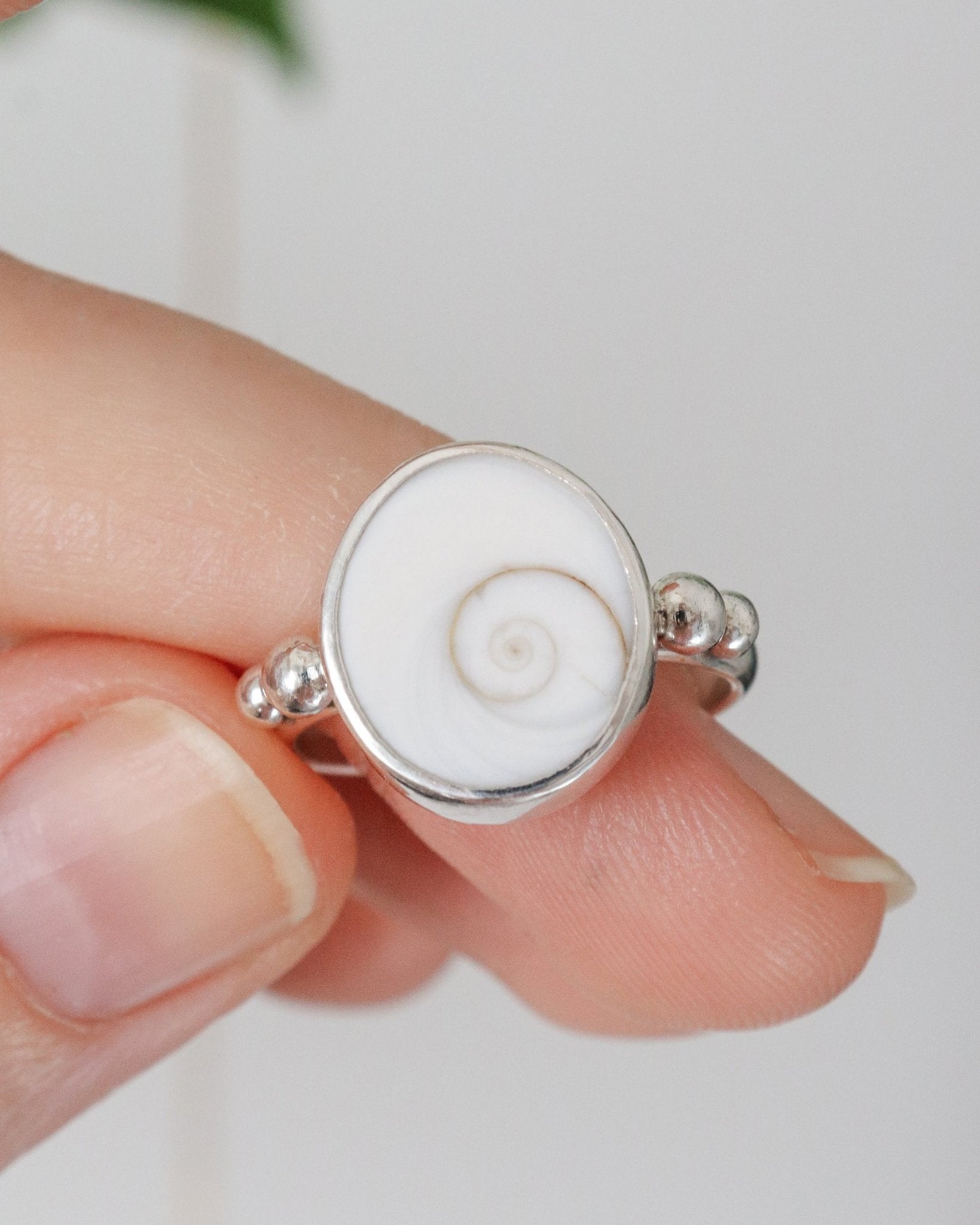 Anillo Aqua con opérculos naturales.