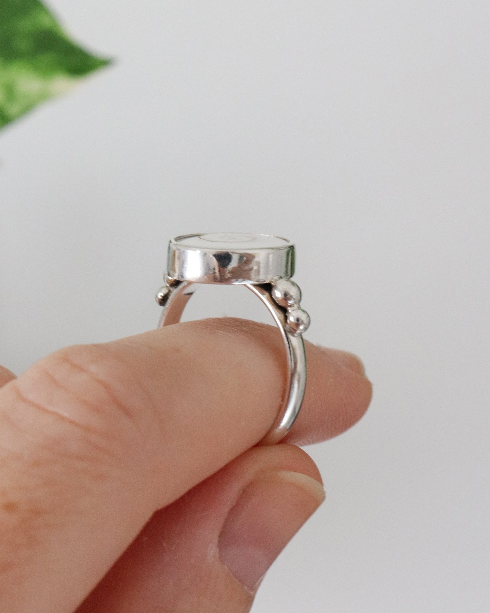 Anillo Aqua con opérculos naturales.