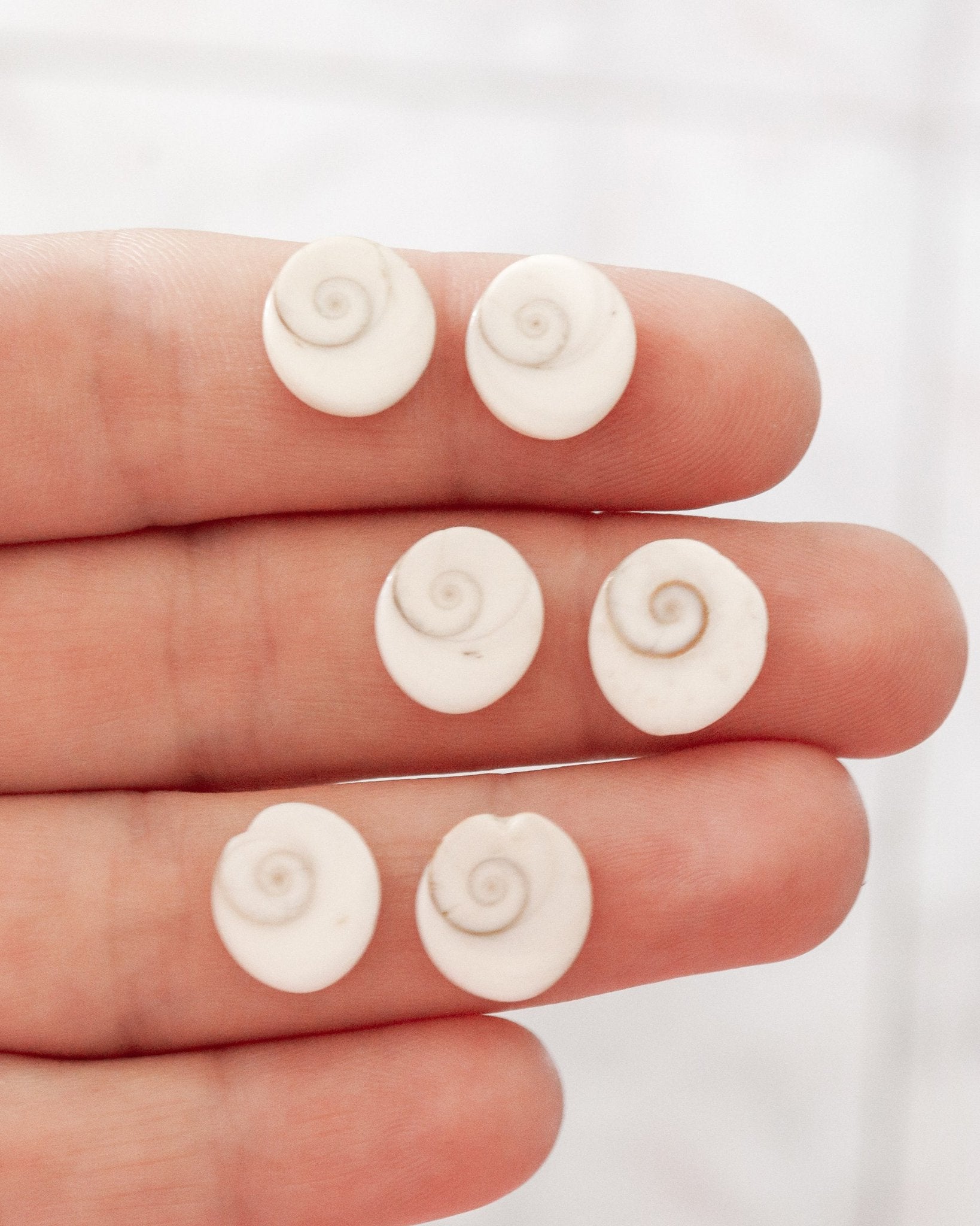 Seis opérculos de caracol, de forma redonda y color blanco cremoso con espirales marrones, están distribuidos sobre los dedos de una mano.
